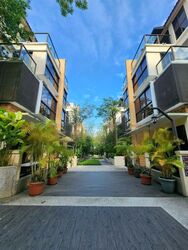 Holland Link (D10), Terrace #451619311